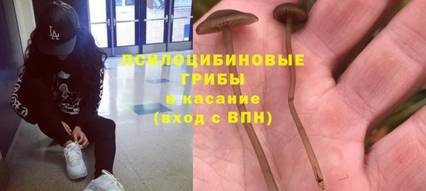 шишки Богородицк